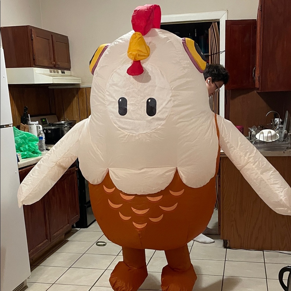 Inflatable Chicken Costume for kids